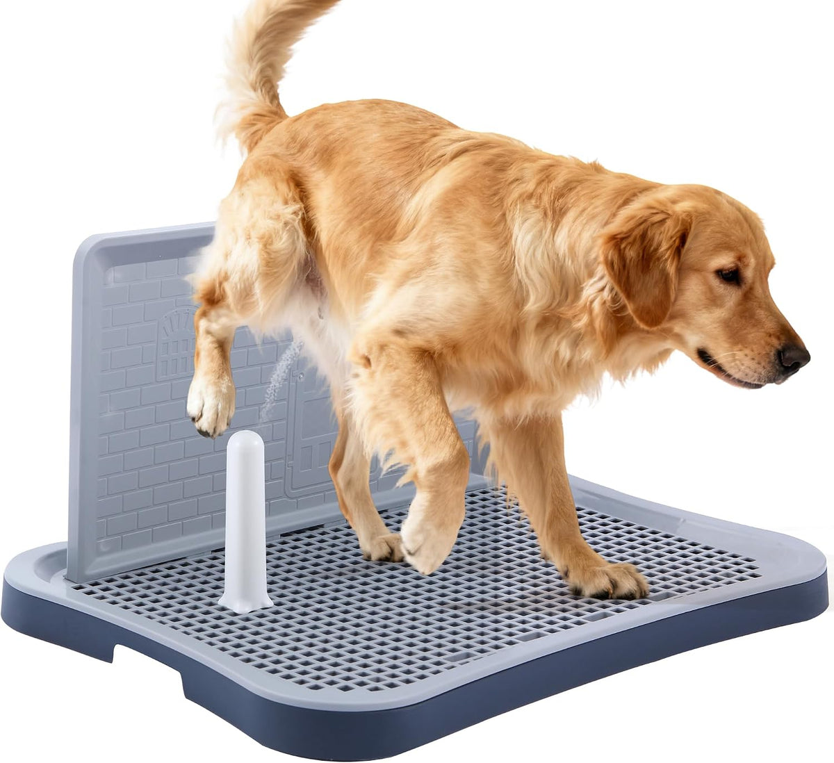 Pee Pad Holder, Indoor Potty Tray for Puppy and Small Size Dog with Pee Wall, Non-Skid Feet, 20x15.4x1.4 inch (Medium)