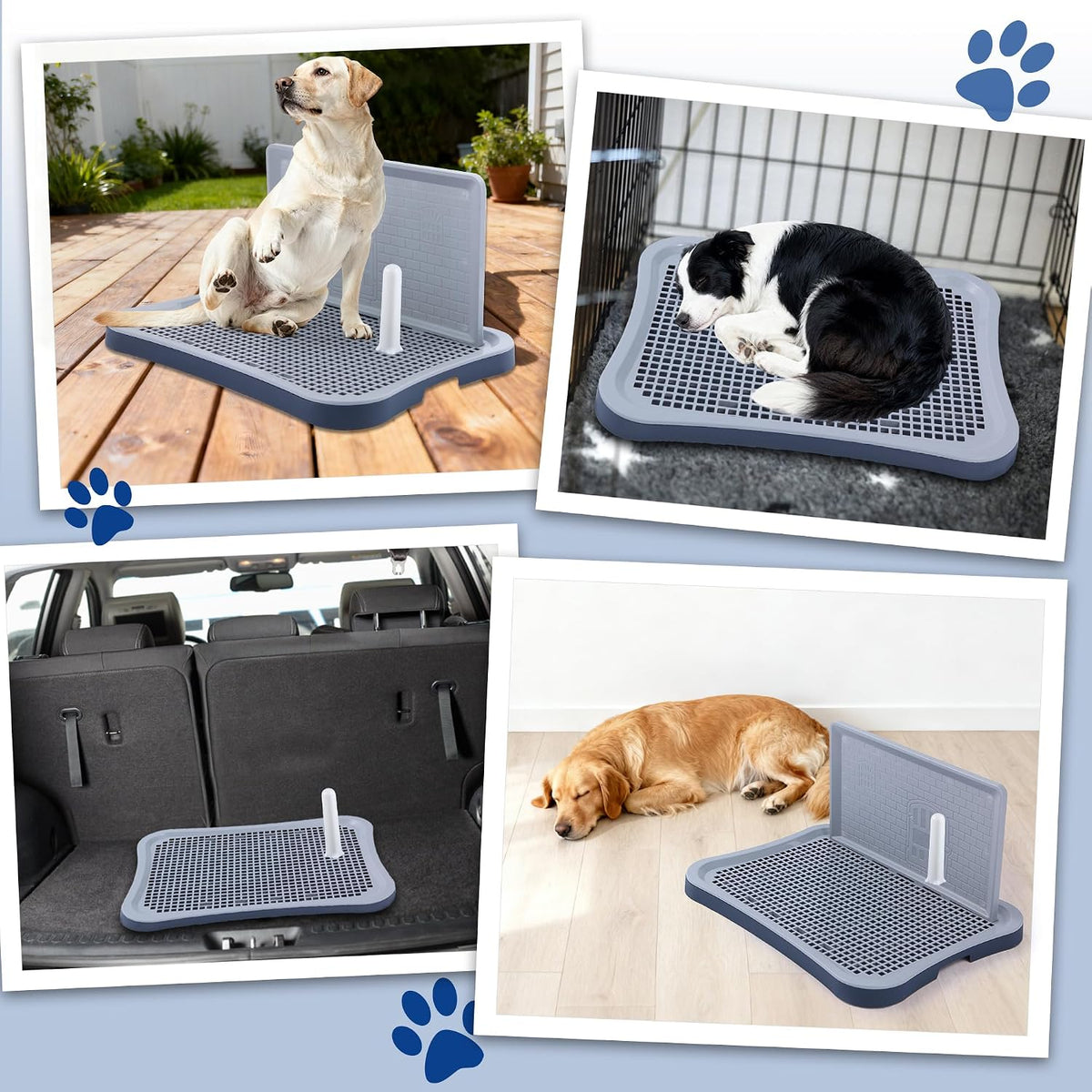 Pee Pad Holder, Indoor Potty Tray for Puppy and Small Size Dog with Pee Wall, Non-Skid Feet, 20x15.4x1.4 inch (Medium)