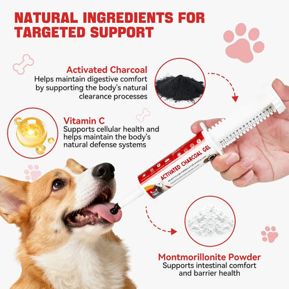 Activated Charcoal First Aid Kit Emergency Rescue for Dogs, Cats, Activated Charcoal for Dogs, Puppy & Pet Poisoning Kit, Camping Survival Remedy Essential, Ready to Absorb Toxins - 60cc (60ml)