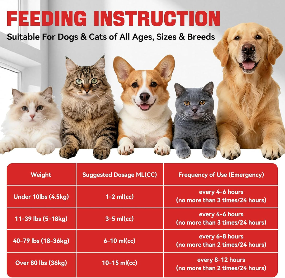 Activated Charcoal First Aid Kit Emergency Rescue for Dogs, Cats, Activated Charcoal for Dogs, Puppy & Pet Poisoning Kit, Camping Survival Remedy Essential, Ready to Absorb Toxins - 60cc (60ml)