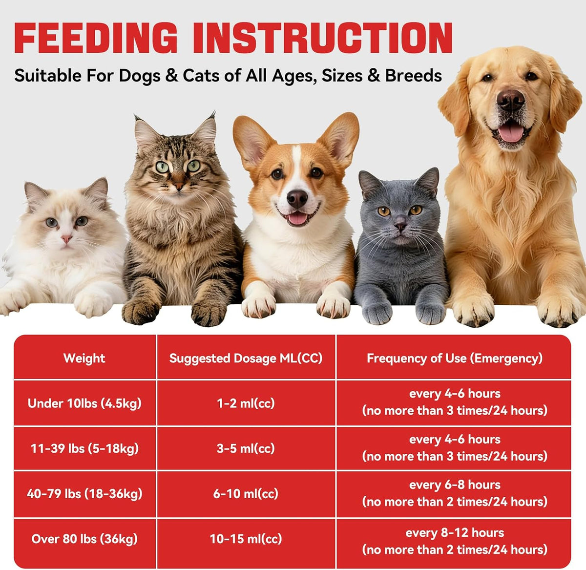 Activated Charcoal First Aid Kit Emergency Rescue for Dogs, Cats, Activated Charcoal for Dogs, Puppy & Pet Poisoning Kit, Camping Survival Remedy Essential, Ready to Absorb Toxins - 60cc (60ml)