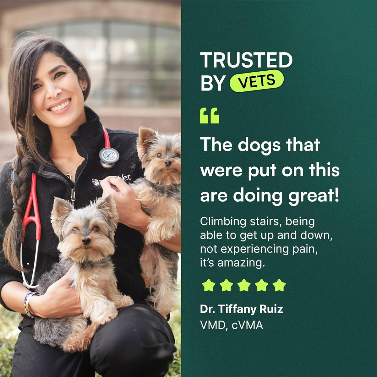 Advanced Hip & Joint Chews for Small & Medium Dogs, Vet Recommended