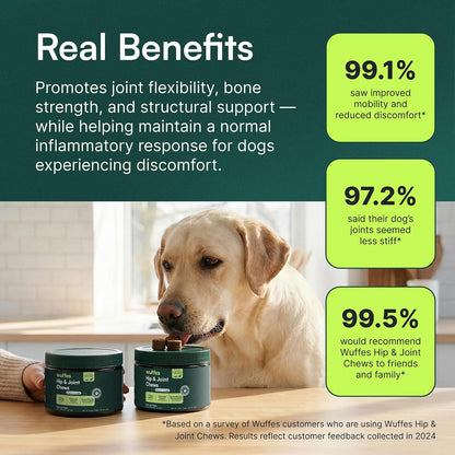 Advanced Hip & Joint Chews for Small & Medium Dogs, Vet Recommended