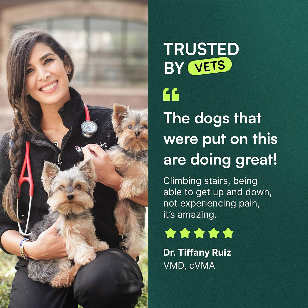 Advanced Hip & Joint Chews for Small & Medium Dogs, Vet Recommended