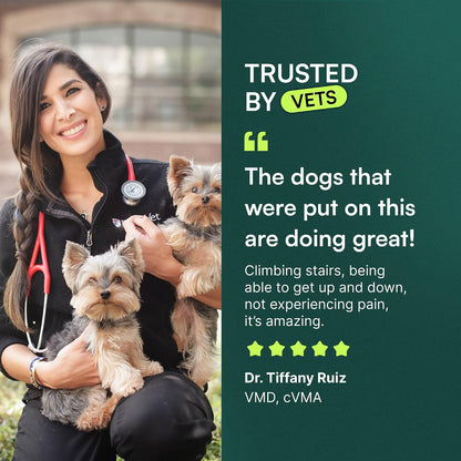 Advanced Hip & Joint Chews for Small & Medium Dogs, Vet Recommended