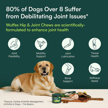 Advanced Hip & Joint Chews for Small & Medium Dogs, Vet Recommended