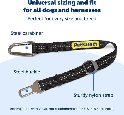 Safety Seatbelt Dog Tether, Black