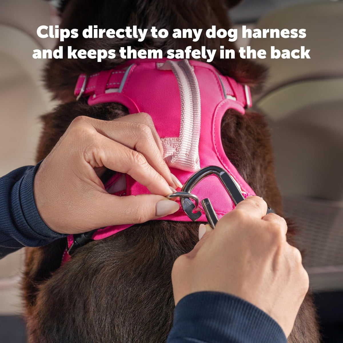 Safety Seatbelt Dog Tether, Black