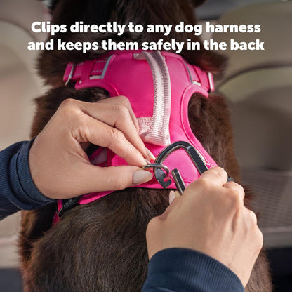 Safety Seatbelt Dog Tether, Black