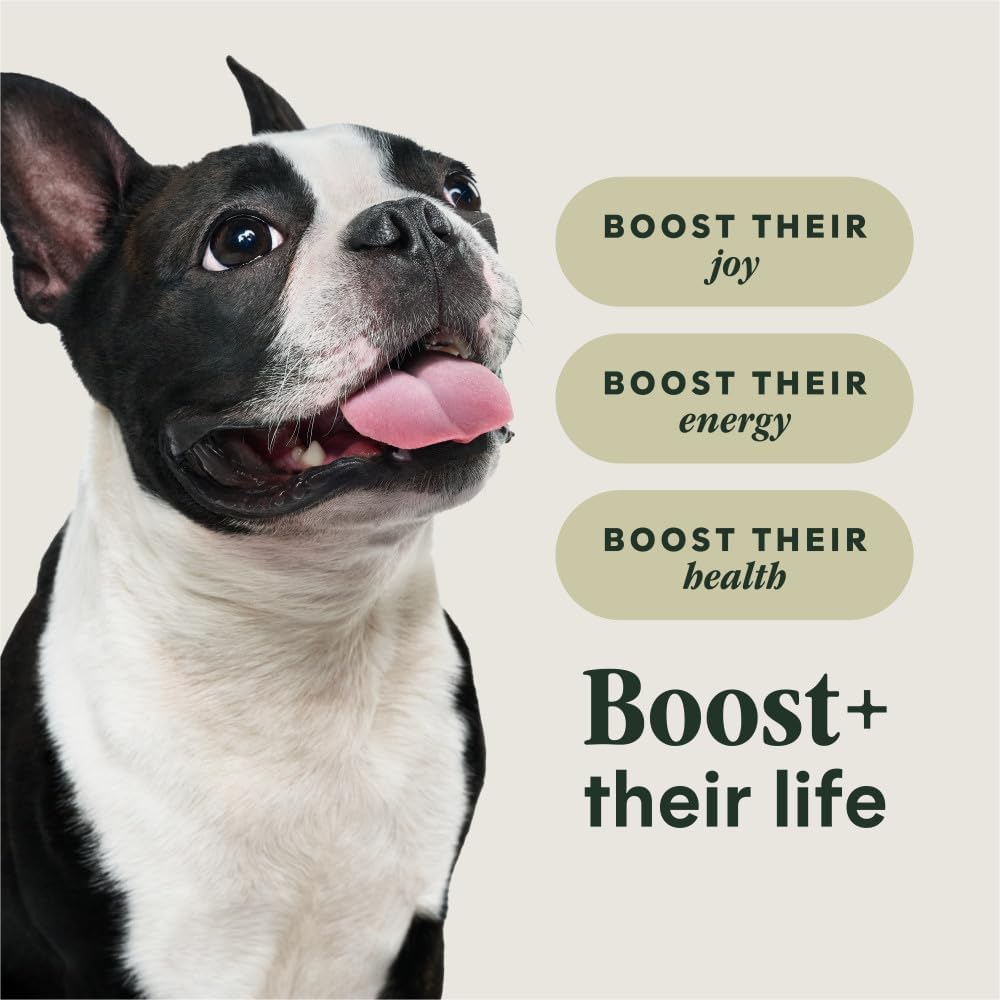 RawBoost Small Breed, Dry Dog Food + Freeze Dried, Chicken, 3.5 lb