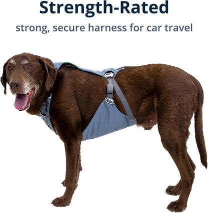 Ruffwear, Load Up Dog Car Harness, Slate Blue, X-Small