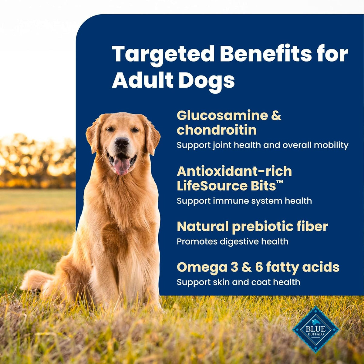 Blue Buffalo Life Protection Formula Beef Adult Dry Dog Food, 5 lb
