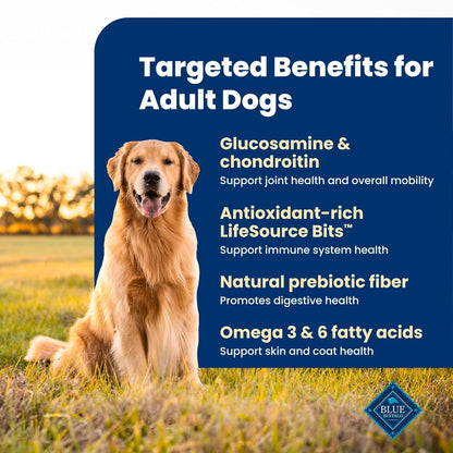 Blue Buffalo Life Protection Formula Beef Adult Dry Dog Food, 5 lb