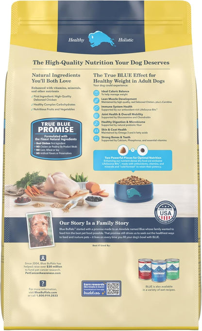 Blue Buffalo Life Protection Formula Beef Adult Dry Dog Food, 5 lb