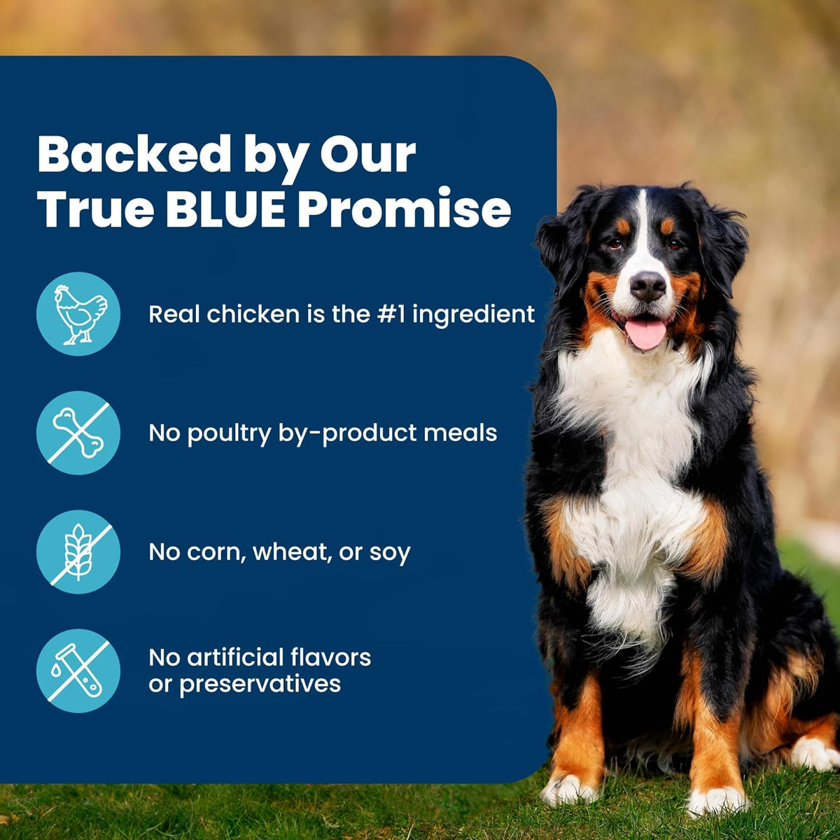 Blue Buffalo Life Protection Formula Beef Adult Dry Dog Food, 5 lb