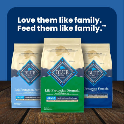 Blue Buffalo Life Protection Formula Beef Adult Dry Dog Food, 5 lb