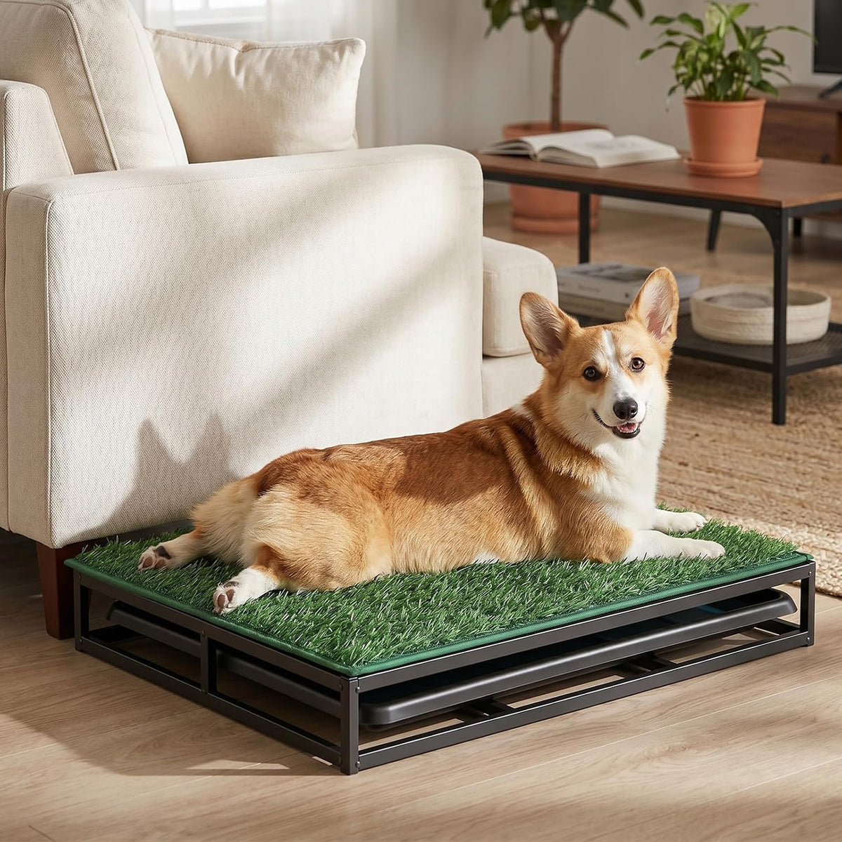 Grass Potty for Dogs with Tray, 304 Stainless Steel Pee Pad Holder, Puppy Potty Tray with Artificial Grass, Indoor & Outdoor Use (24.02" L x 17.72" W x 3.15" H)