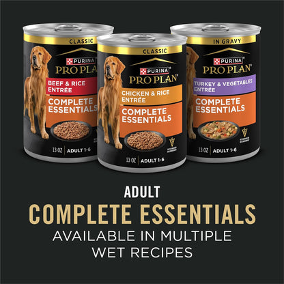 Complete Essentials Beef & Rice Dry Dog Food, 5 lb Bag