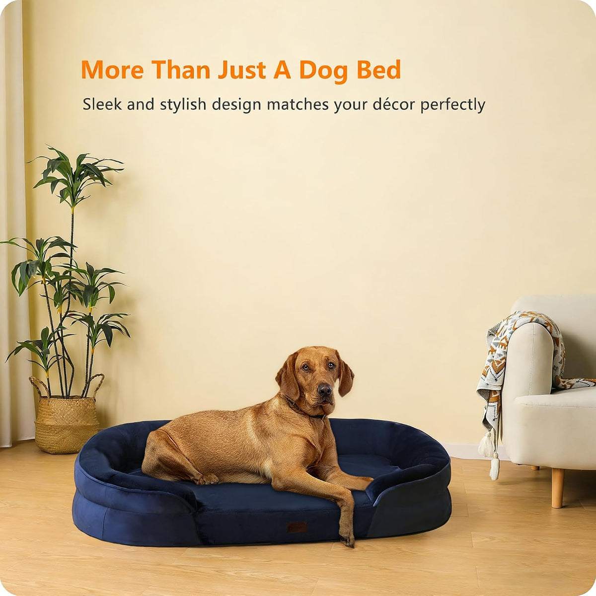 Orthopedic Waterproof Medium Dog Bed Sofa, Gel Memory Foam, 36" | Egg-Crate Foam Dog Sofa, Washable Pet Bed with Four Sided Bolster Cushion, Removable Cover & Non-Slip Bottom, Dark Grey