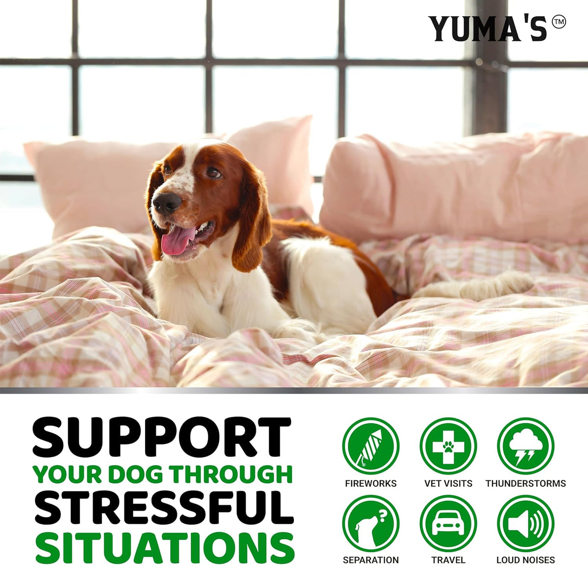 Hemp Calming Chews for Dogs - 170 Treats - Advanced Dog Calming Chews