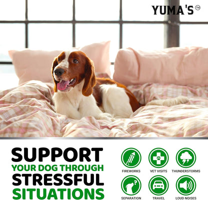 Hemp Calming Chews for Dogs - 170 Treats - Advanced Dog Calming Chews