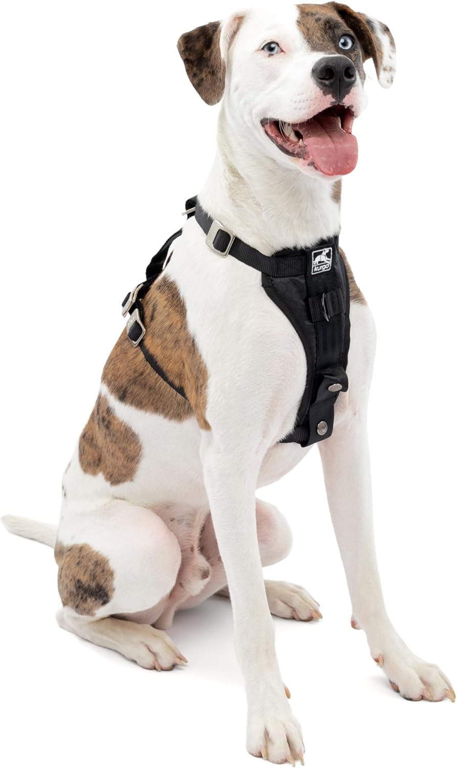 Enhanced Strength Tru-Fit Smart Harness, Black, Medium