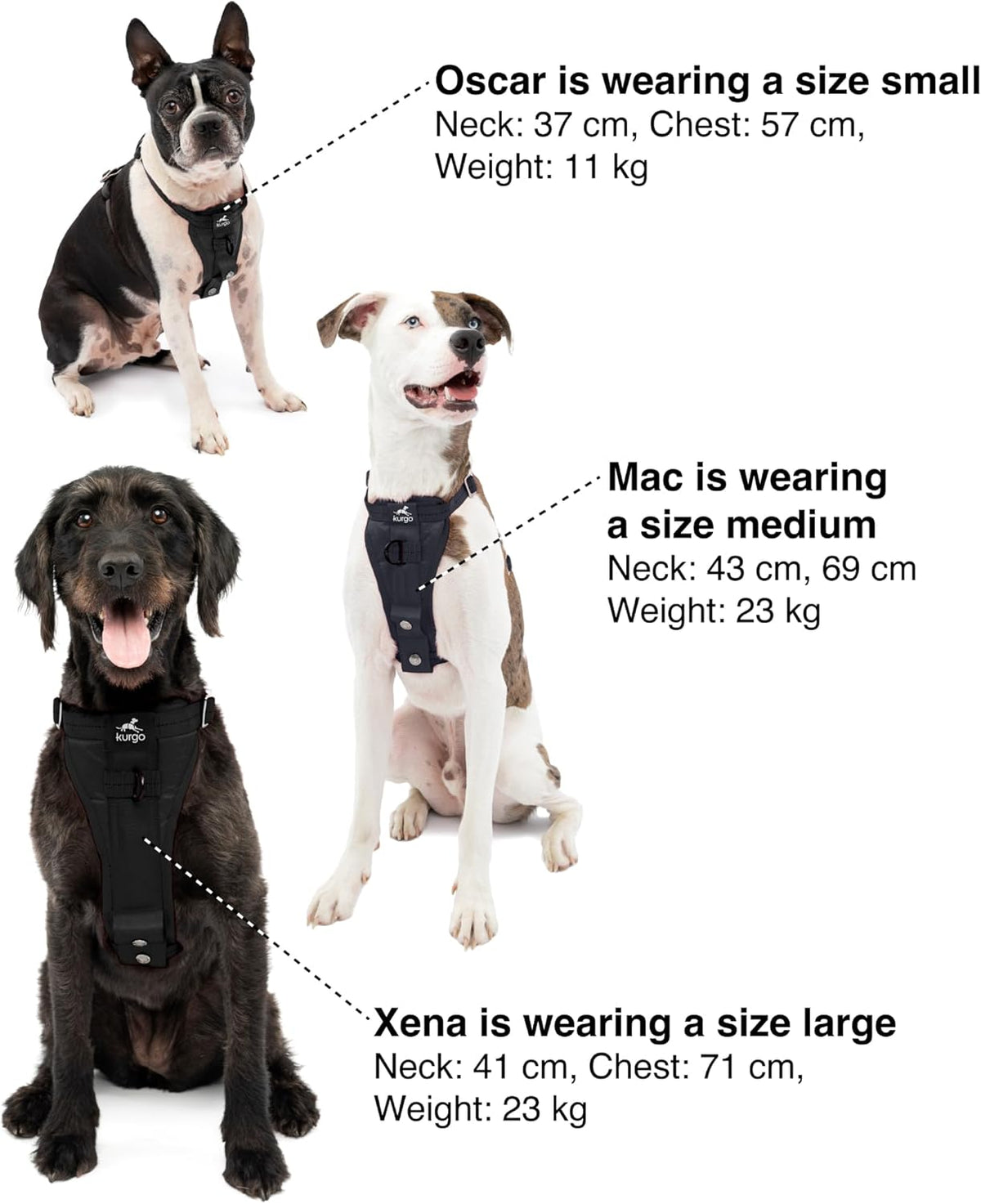 Enhanced Strength Tru-Fit Smart Harness, Black, Medium