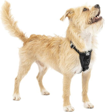 Enhanced Strength Tru-Fit Smart Harness, Black, Medium
