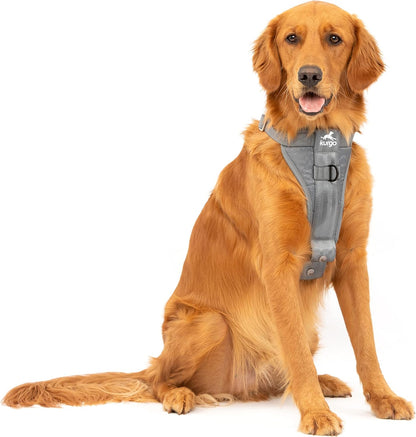 Enhanced Strength Tru-Fit Smart Harness, Black, Medium