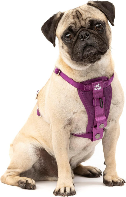 Enhanced Strength Tru-Fit Smart Harness, Black, Medium