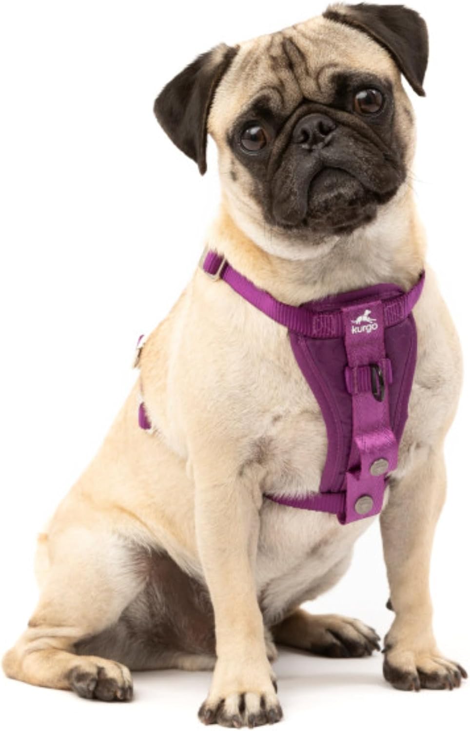 Enhanced Strength Tru-Fit Smart Harness, Black, Medium