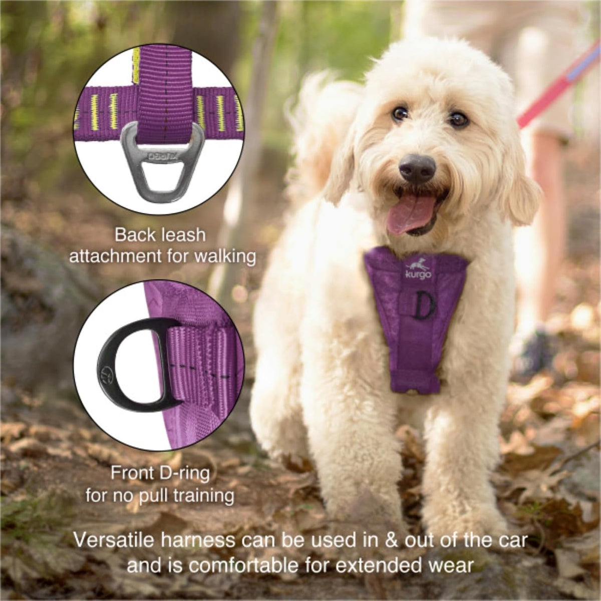 Enhanced Strength Tru-Fit Smart Harness, Black, Medium