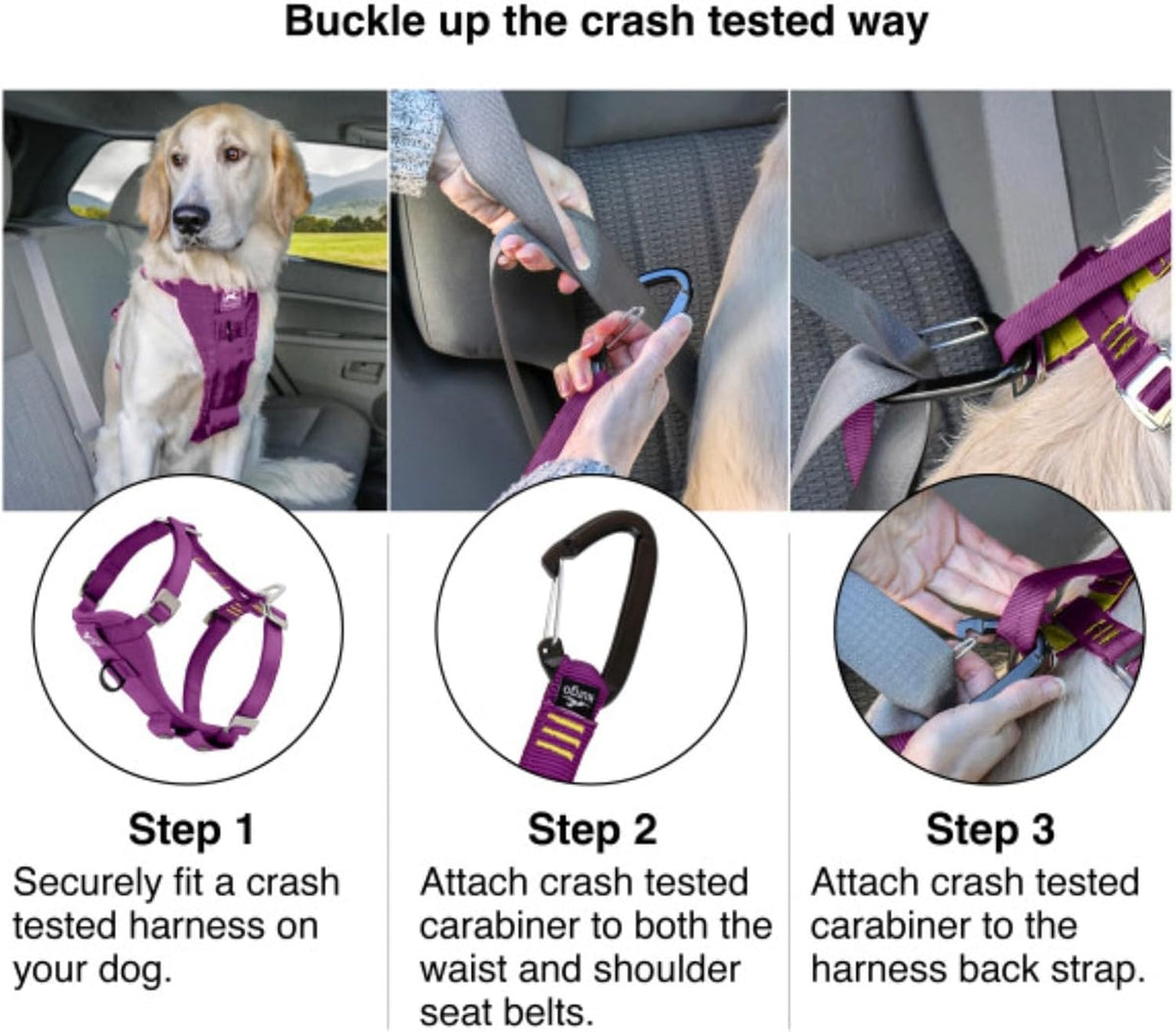 Enhanced Strength Tru-Fit Smart Harness, Black, Medium