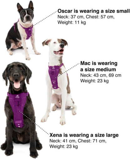 Enhanced Strength Tru-Fit Smart Harness, Black, Medium