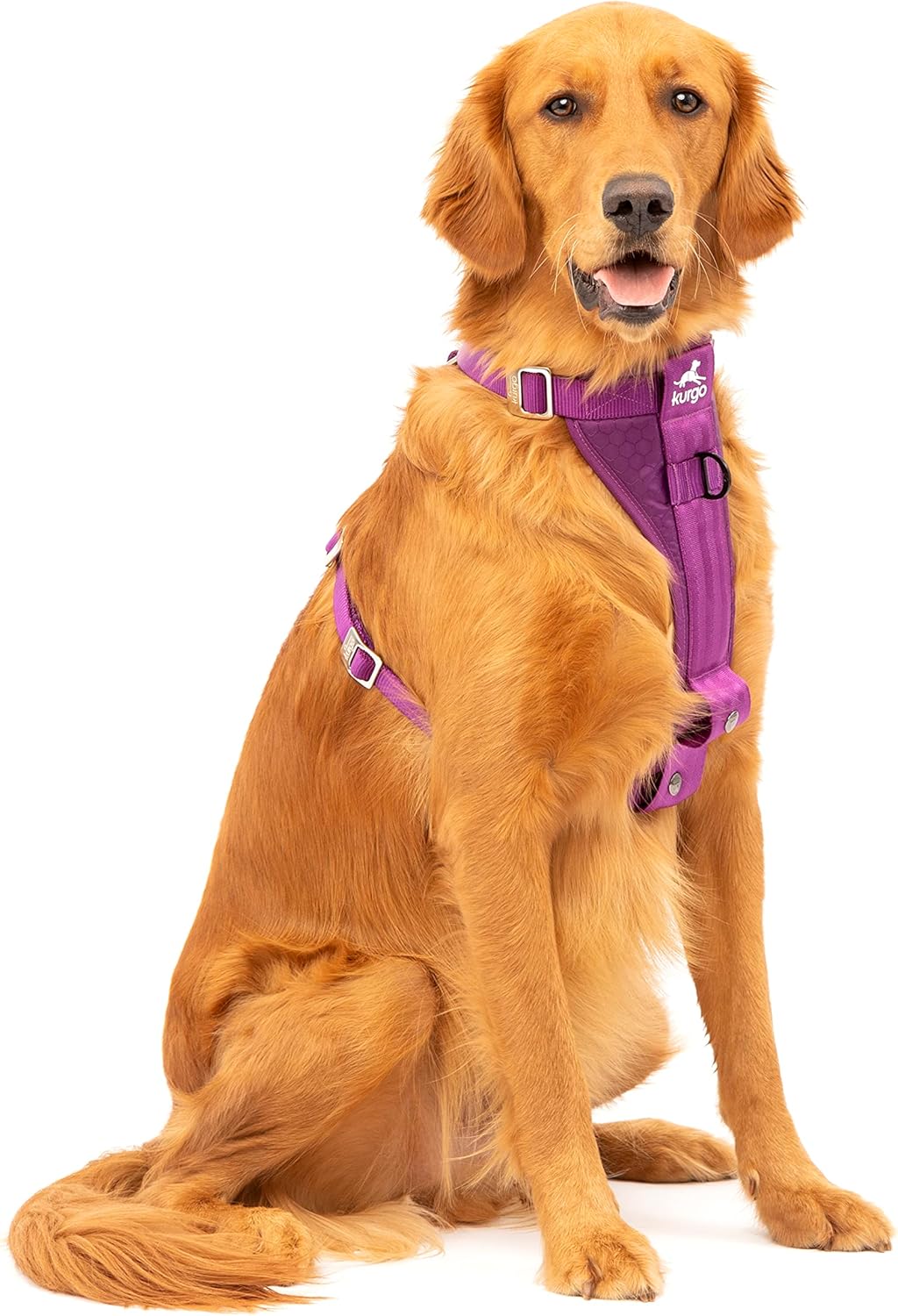 Enhanced Strength Tru-Fit Smart Harness, Black, Medium