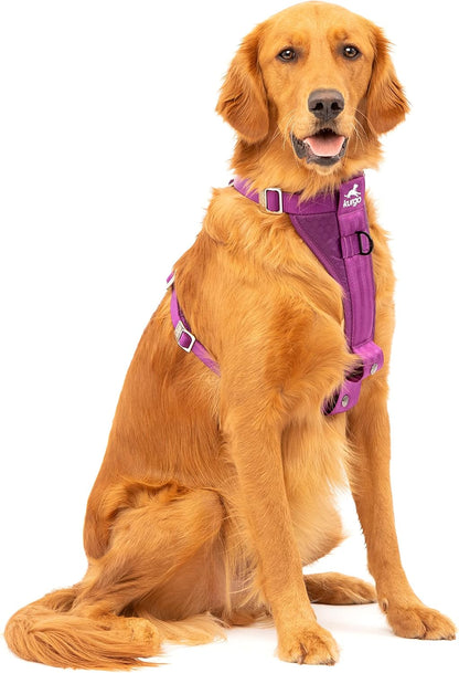 Enhanced Strength Tru-Fit Smart Harness, Black, Medium