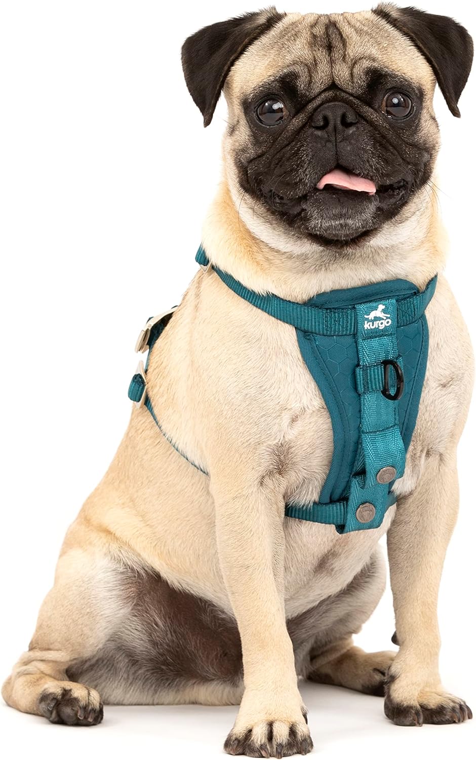 Enhanced Strength Tru-Fit Smart Harness, Black, Medium