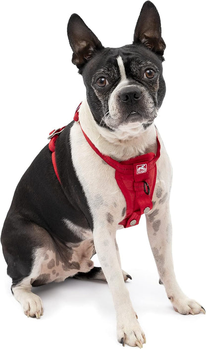 Enhanced Strength Tru-Fit Smart Harness, Black, Medium