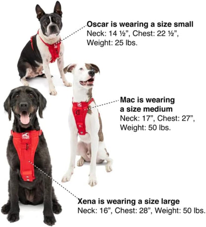 Enhanced Strength Tru-Fit Smart Harness, Black, Medium