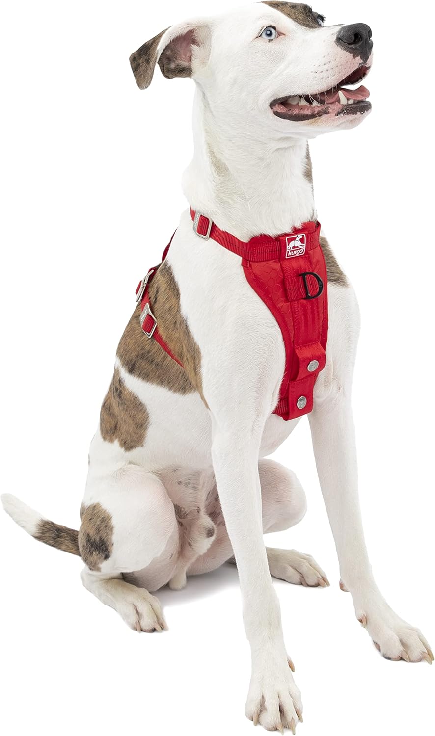 Enhanced Strength Tru-Fit Smart Harness, Black, Medium