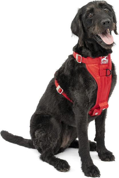Enhanced Strength Tru-Fit Smart Harness, Black, Medium