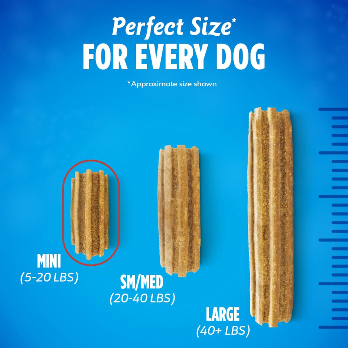 Purina Daily Oral Care Dental Dog Treats for Small Dogs, 58 ct