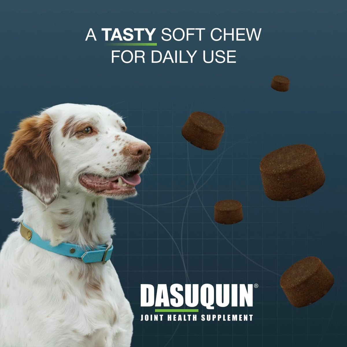Nutramax Dasuquin MSM Joint Supplement, Small/Med Dogs, Soft Chews