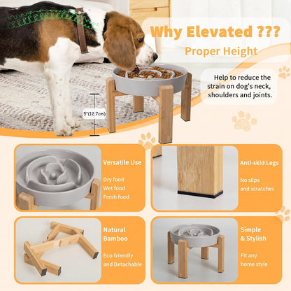 Elevated Slow Feeder Dog Bowl, 6.7" Ceramic Maze Dog Bowl with Stand