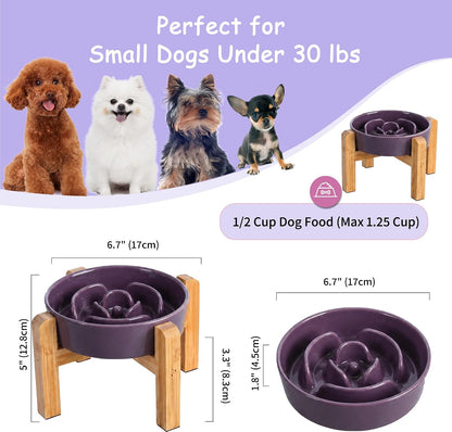 Elevated Slow Feeder Dog Bowl, 6.7" Ceramic Maze Dog Bowl with Stand