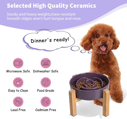 Elevated Slow Feeder Dog Bowl, 6.7" Ceramic Maze Dog Bowl with Stand
