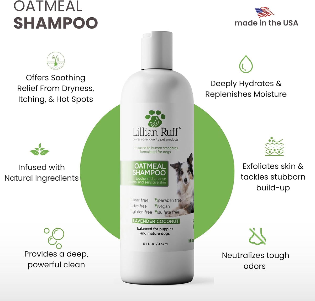 PRO Formula Deodorizing Oatmeal Dog Shampoo - Calms Itching & Allergies, Ultra-Nourishing Dry Skin Relief - Oatmeal, Aloe, Coconut Oil, Lavender & Provitamin B5 - Made in USA 16oz+Brush