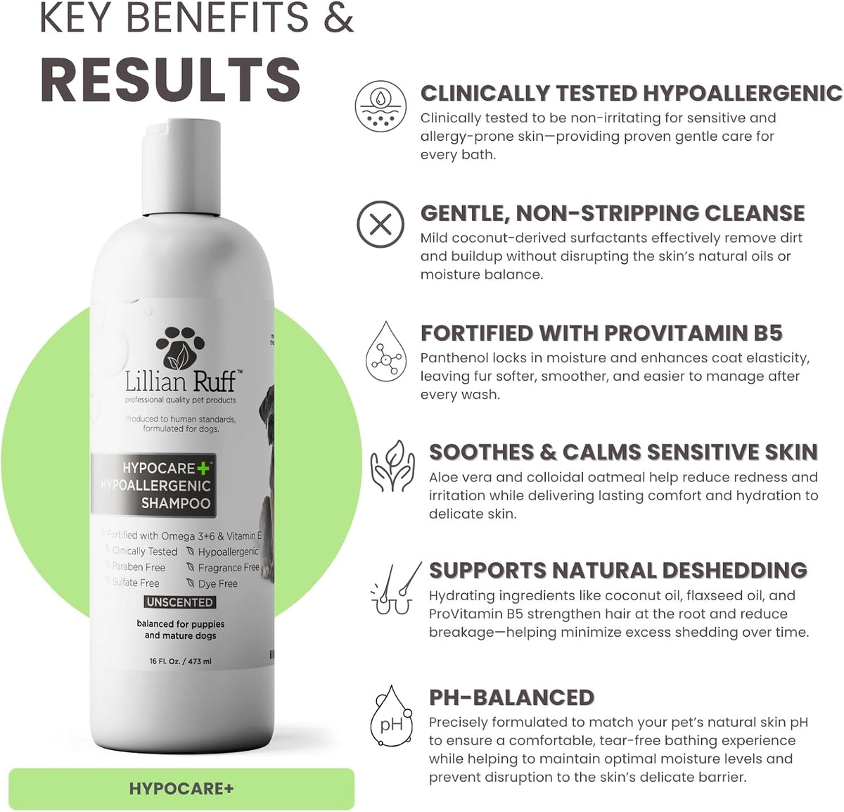 PRO Formula Deodorizing Oatmeal Dog Shampoo - Calms Itching & Allergies, Ultra-Nourishing Dry Skin Relief - Oatmeal, Aloe, Coconut Oil, Lavender & Provitamin B5 - Made in USA 16oz+Brush