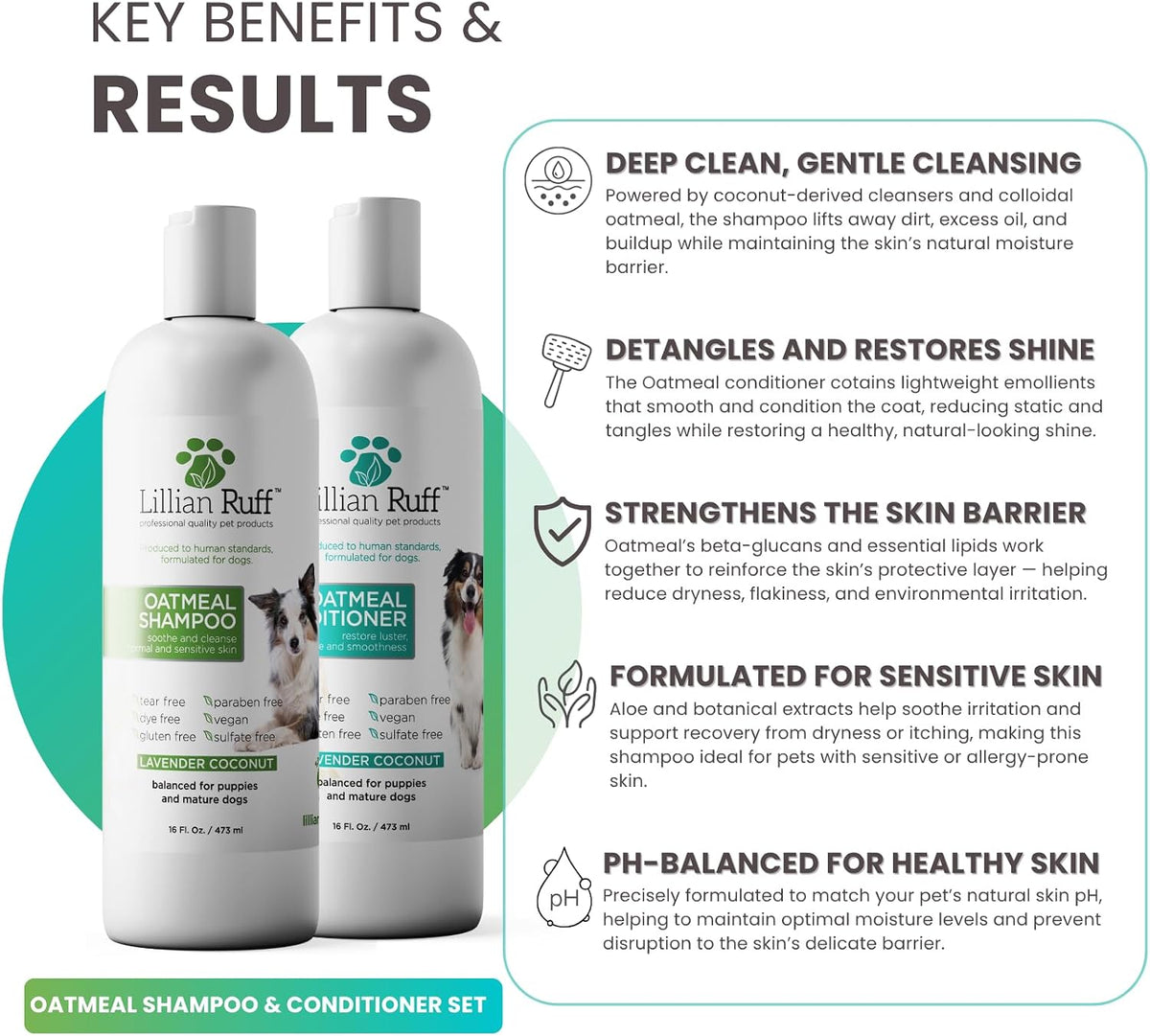 PRO Formula Deodorizing Oatmeal Dog Shampoo - Calms Itching & Allergies, Ultra-Nourishing Dry Skin Relief - Oatmeal, Aloe, Coconut Oil, Lavender & Provitamin B5 - Made in USA 16oz+Brush
