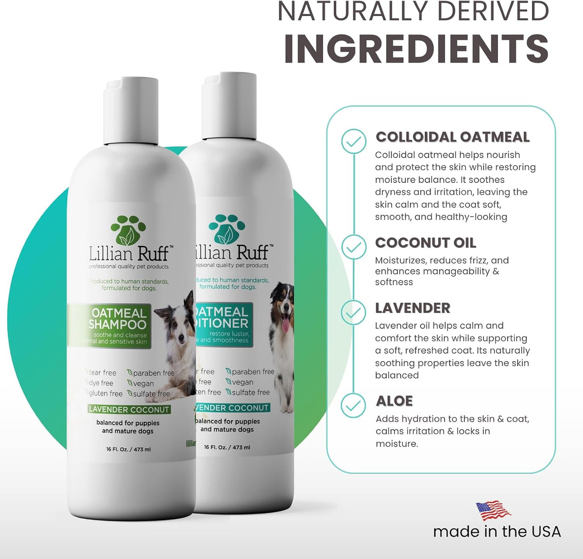 PRO Formula Deodorizing Oatmeal Dog Shampoo - Calms Itching & Allergies, Ultra-Nourishing Dry Skin Relief - Oatmeal, Aloe, Coconut Oil, Lavender & Provitamin B5 - Made in USA 16oz+Brush